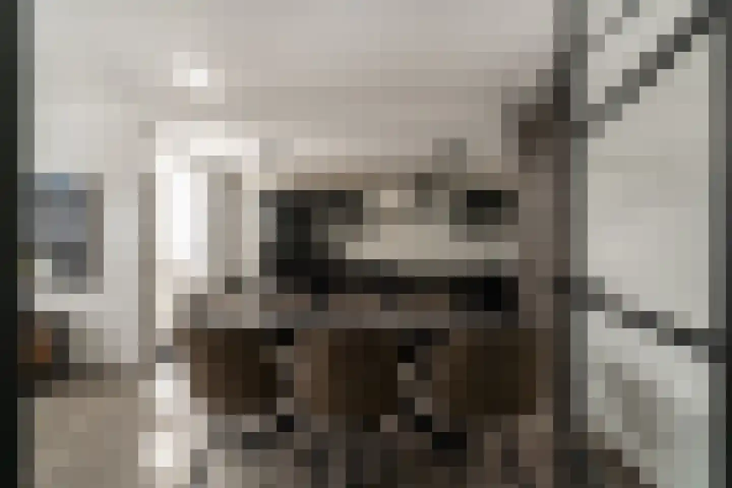 van Goghstraat 10 Duiven thumbnail 15