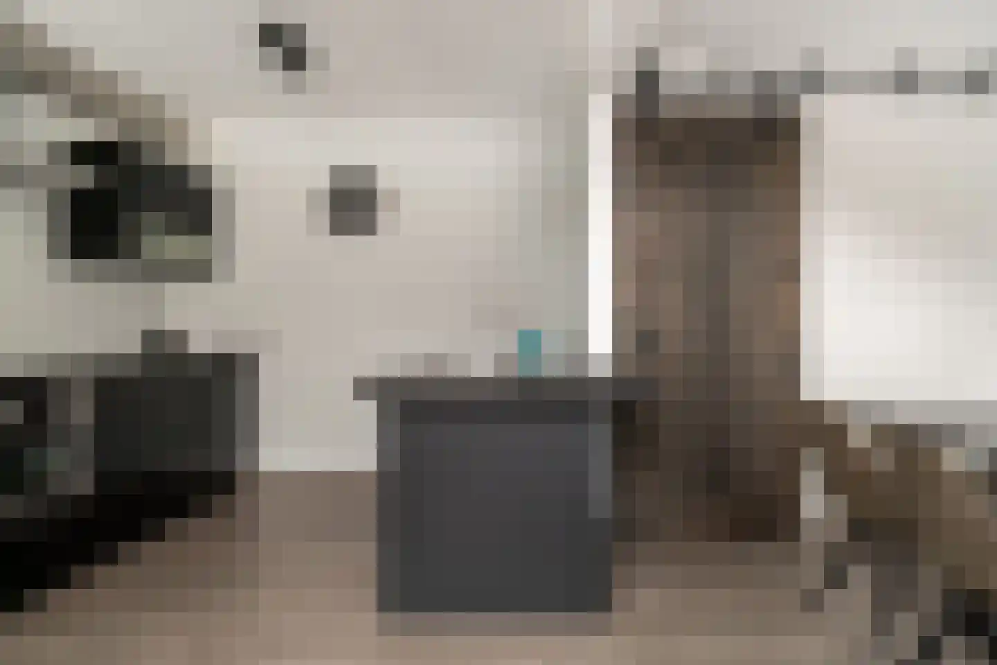 van Goghstraat 10 Duiven thumbnail 18
