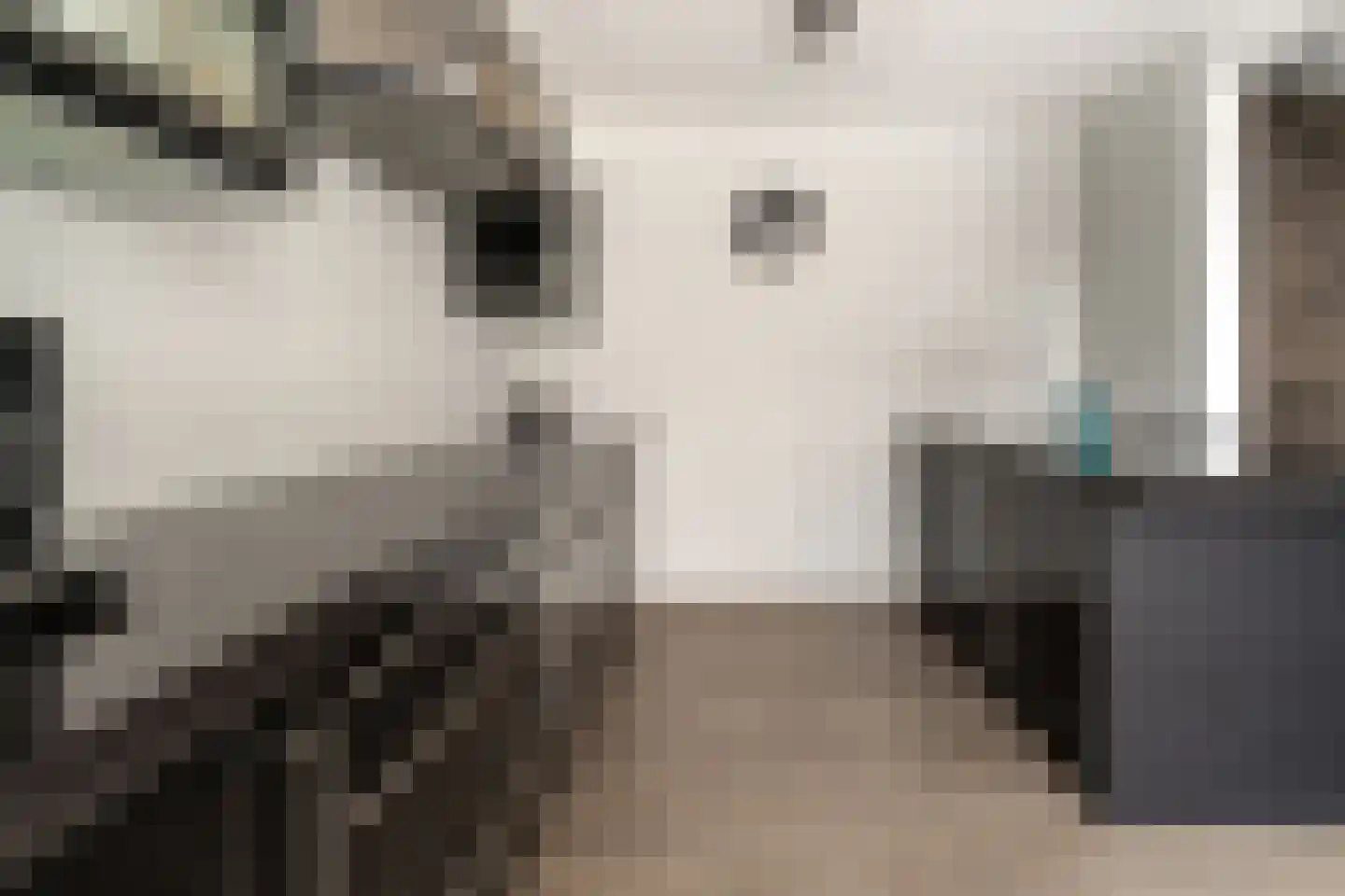 van Goghstraat 10 Duiven thumbnail 19