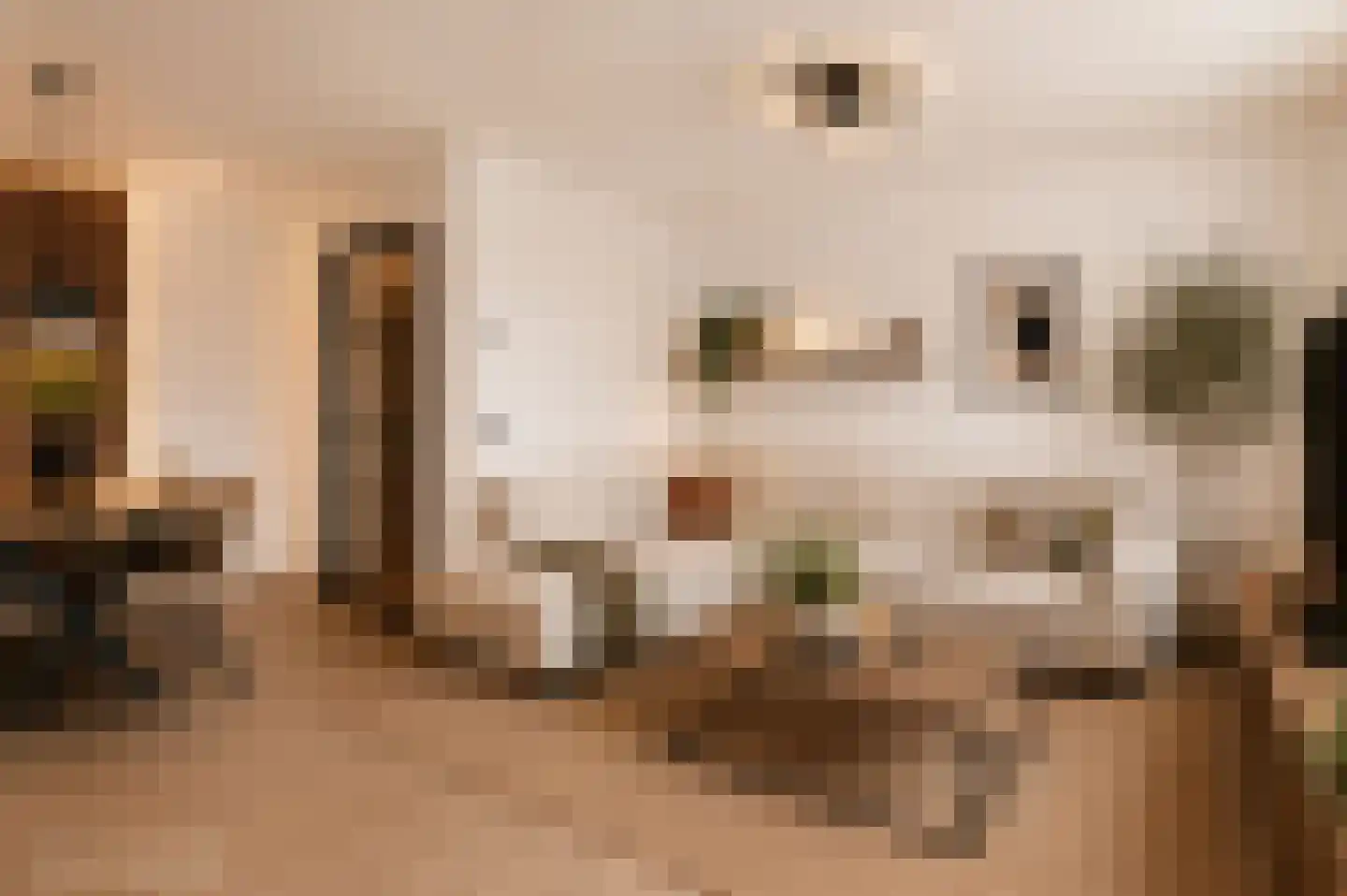van Goghstraat 10 Duiven thumbnail 25