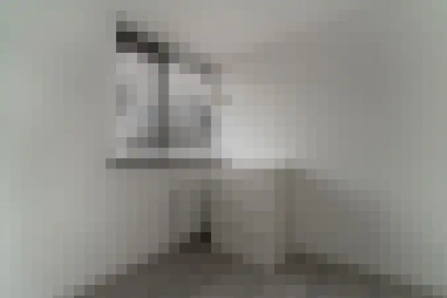 van Goghstraat 10 Duiven thumbnail 32