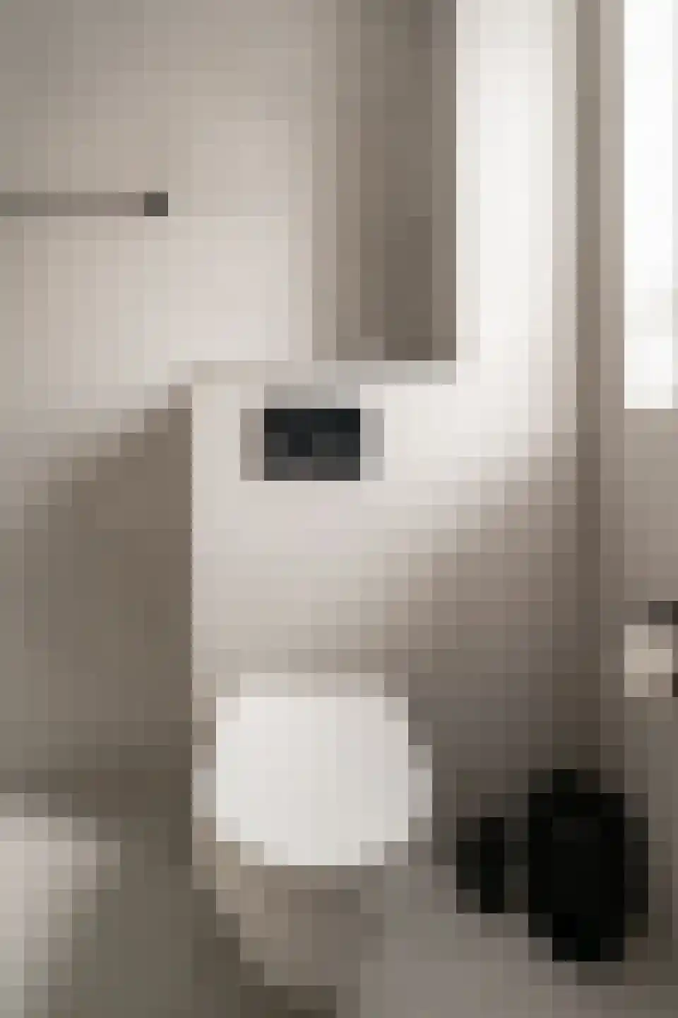 van Goghstraat 10 Duiven thumbnail 37