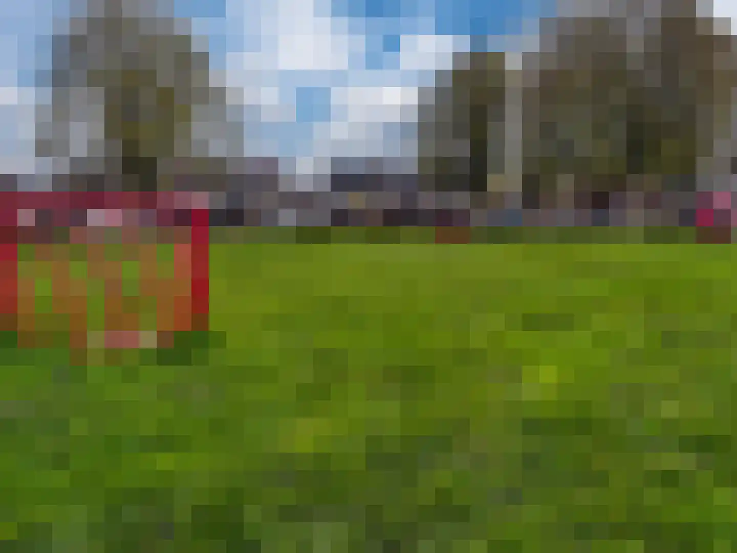 van Goghstraat 10 Duiven thumbnail 43