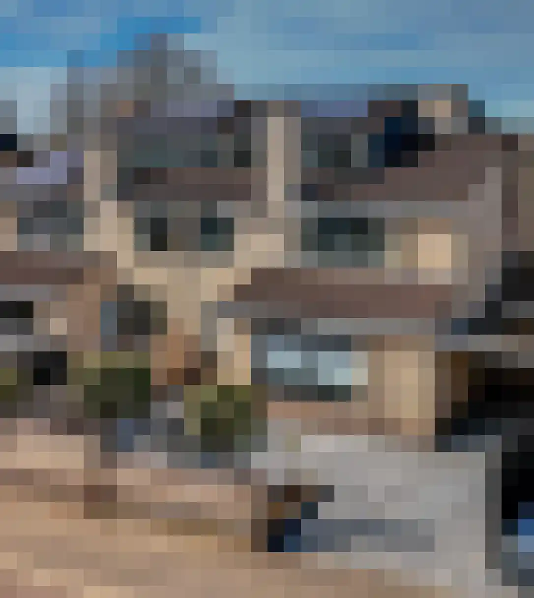 van Goghstraat 10 Duiven thumbnail 6