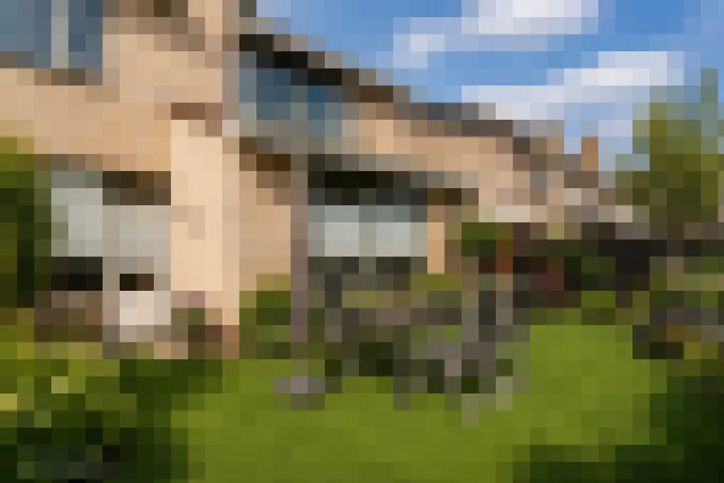 van Goghstraat 10 Duiven thumbnail 8