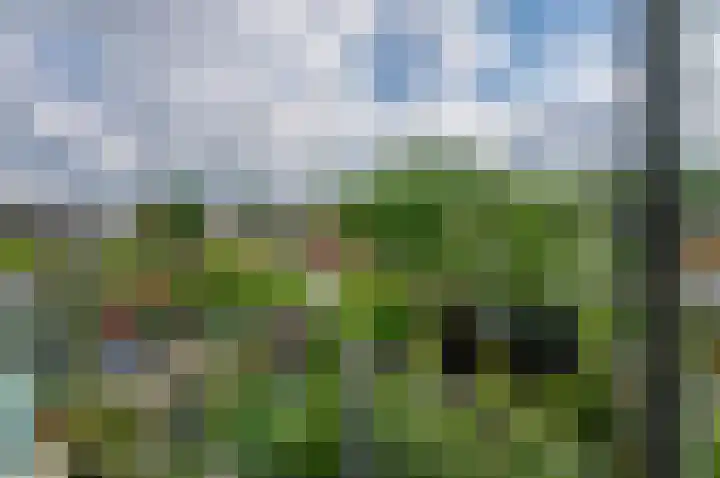 Van Goghstraat 10 Groningen thumbnail 20