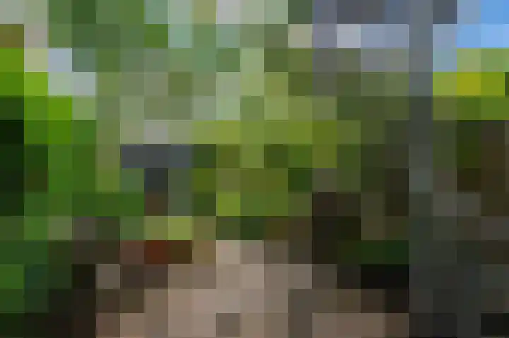 Van Goghstraat 10 Groningen thumbnail 31