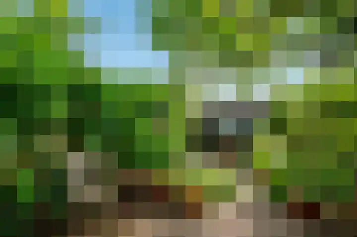 Van Goghstraat 10 Groningen thumbnail 32