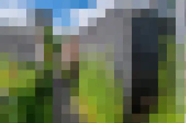 Van Goghstraat 10 Groningen thumbnail 34