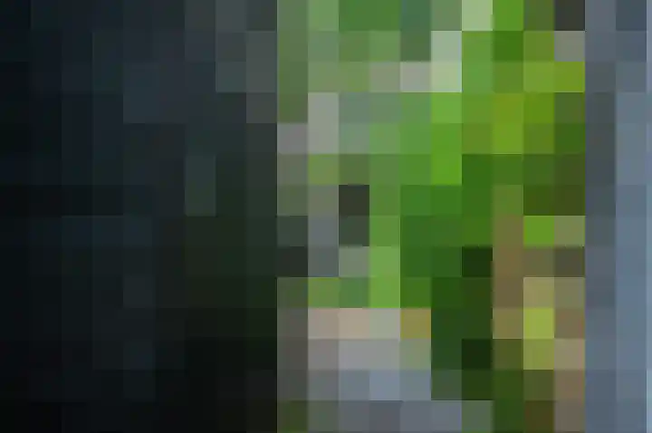Van Goghstraat 10 Groningen thumbnail 35