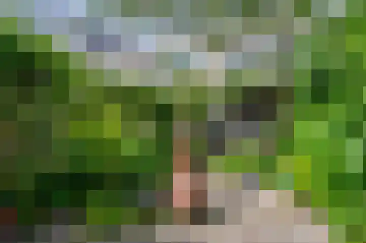 Van Goghstraat 10 Groningen thumbnail 36