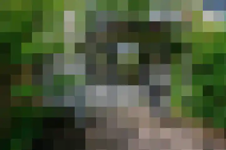 Van Goghstraat 10 Groningen thumbnail 38