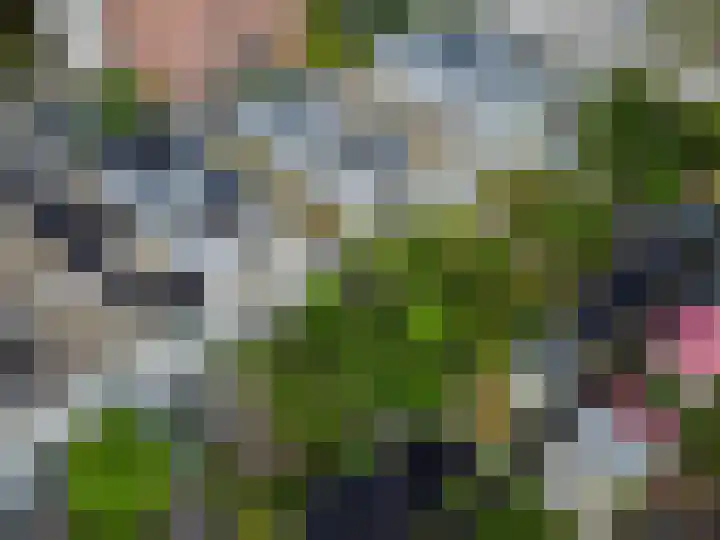 Van Goghstraat 10 Groningen thumbnail 40