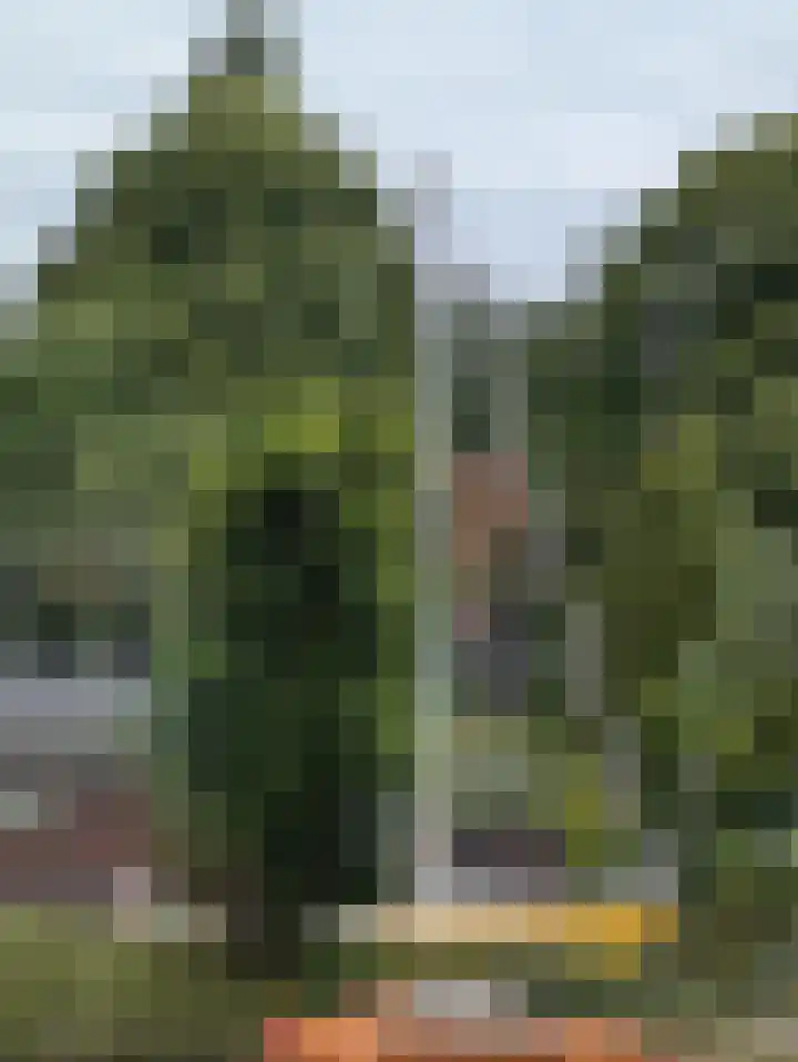 Van Goghstraat 10 Groningen thumbnail 45