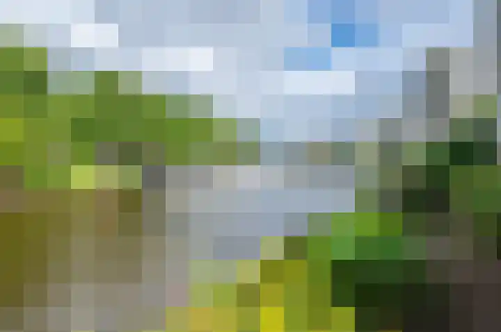 Van Goghstraat 10 Groningen thumbnail 46
