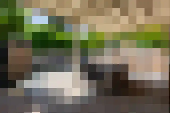 Van Goghstraat 11 Apeldoorn thumbnail 13