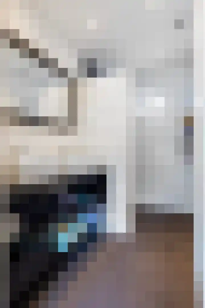 Van Goghstraat 11 Apeldoorn thumbnail 18