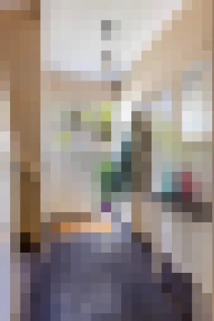 Van Goghstraat 11 Apeldoorn thumbnail 21