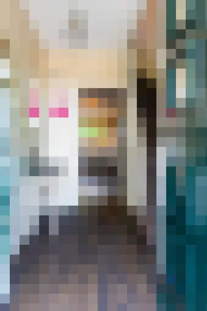 Van Goghstraat 11 Apeldoorn thumbnail 22