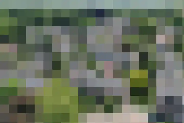 Van Goghstraat 11 Apeldoorn thumbnail 34