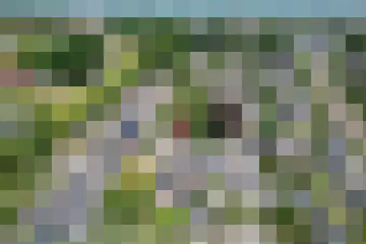 Van Goghstraat 11 Apeldoorn thumbnail 35