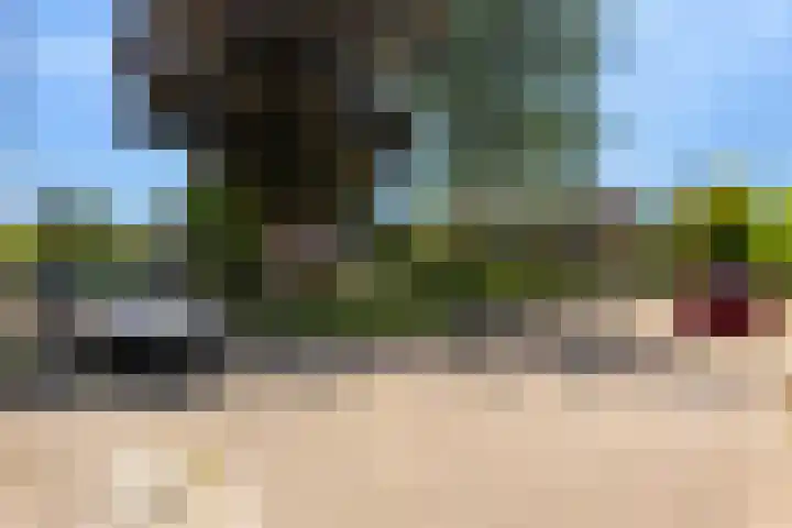 Van Goghstraat 11 Apeldoorn thumbnail 36