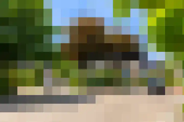Van Goghstraat 11 Apeldoorn thumbnail 37