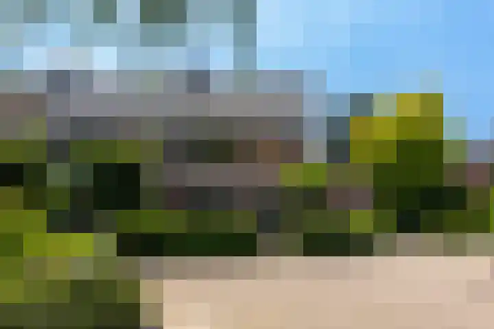 Van Goghstraat 11 Apeldoorn thumbnail 47