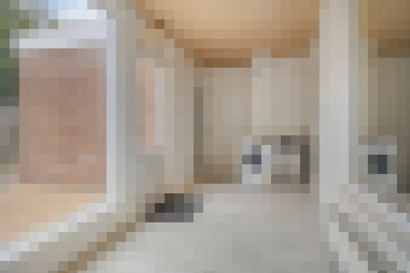van Goghstraat 111 Goes thumbnail 13