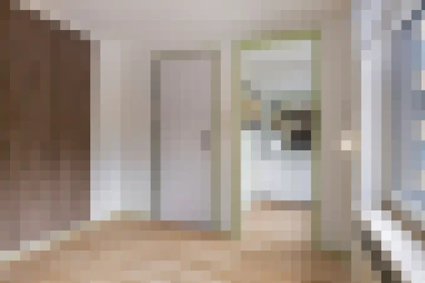 van Goghstraat 111 Goes thumbnail 17