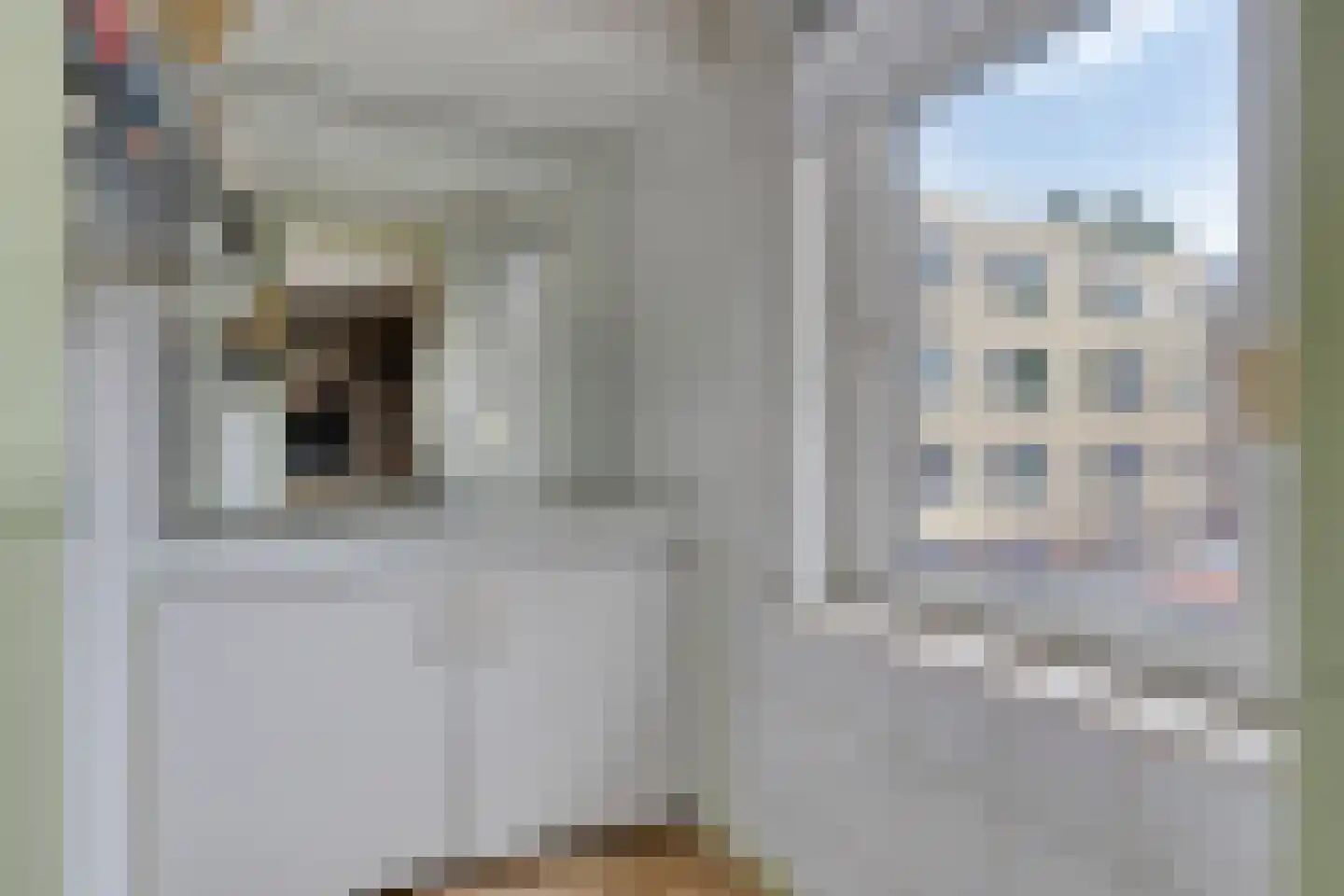 van Goghstraat 111 Goes thumbnail 18