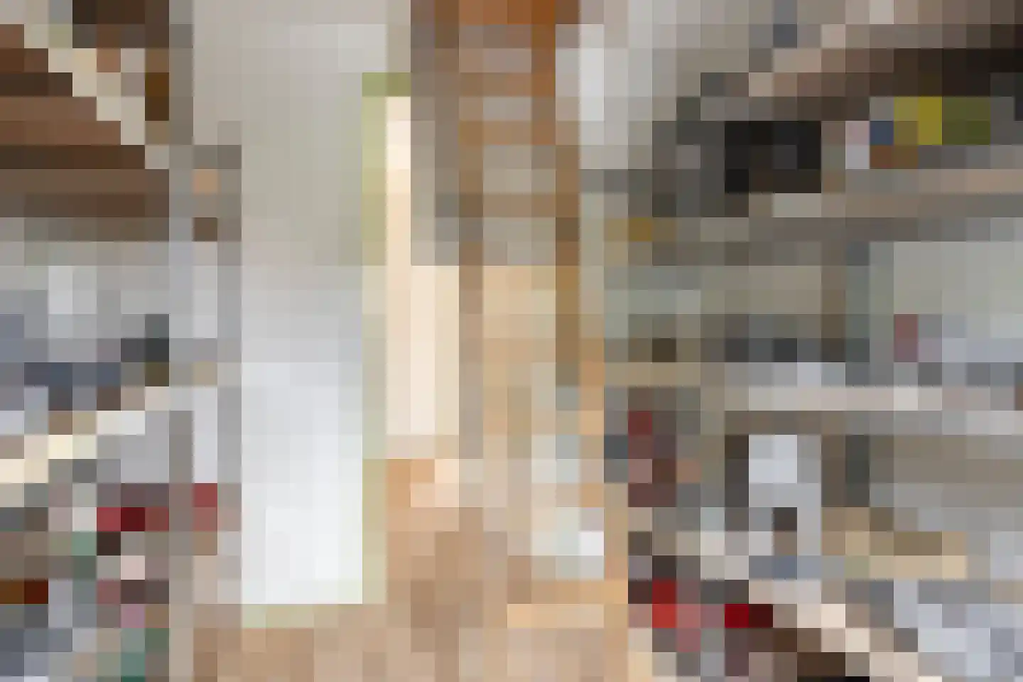 van Goghstraat 111 Goes thumbnail 20