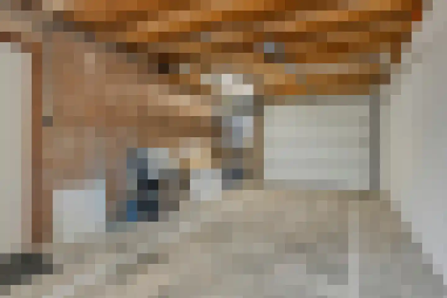 van Goghstraat 111 Goes thumbnail 24