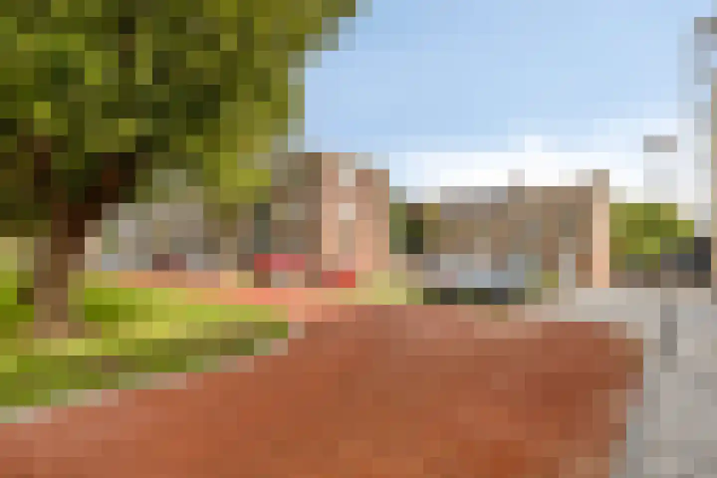 van Goghstraat 111 Goes thumbnail 25