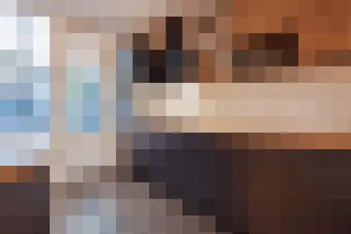 van Goghstraat 13 Horst thumbnail 15