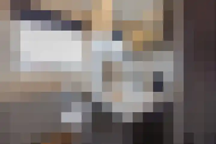 van Goghstraat 13 Horst thumbnail 26