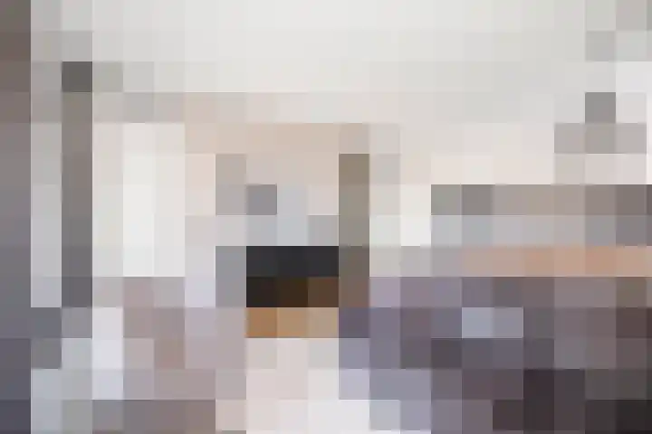 van Goghstraat 16 Twello thumbnail 12