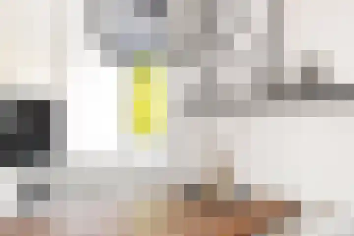 van Goghstraat 16 Twello thumbnail 15