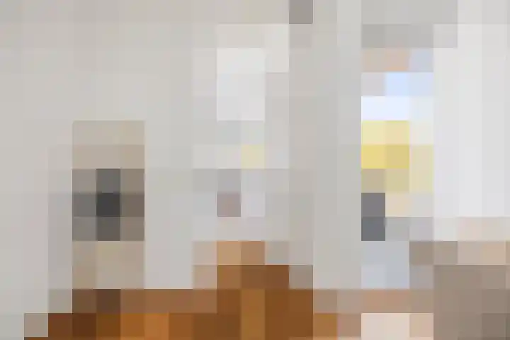 van Goghstraat 16 Twello thumbnail 18