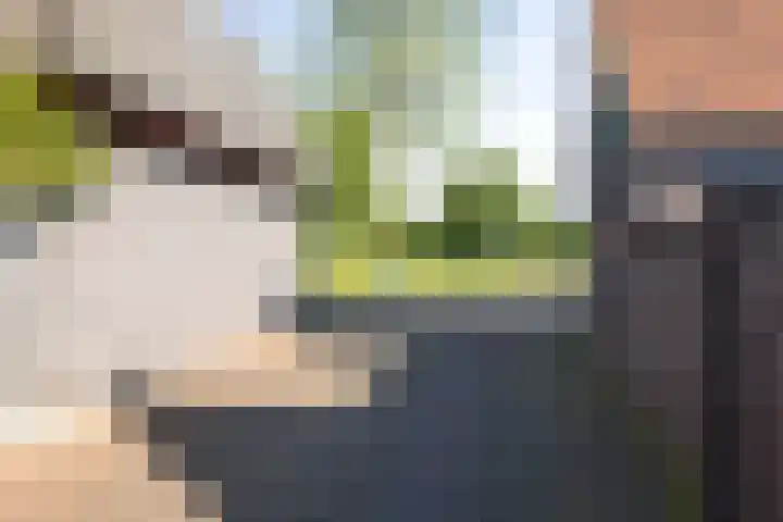 van Goghstraat 16 Twello thumbnail 28