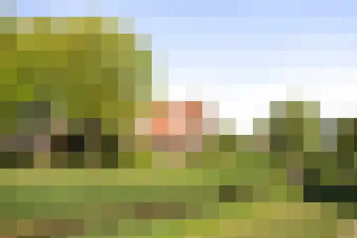 van Goghstraat 16 Twello thumbnail 30