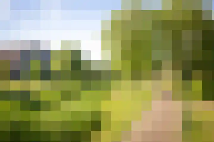 van Goghstraat 16 Twello thumbnail 31