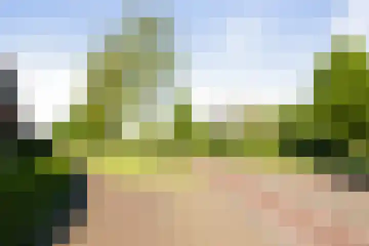 van Goghstraat 16 Twello thumbnail 32