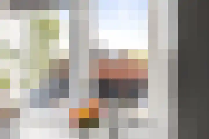 van Goghstraat 16 Twello thumbnail 9