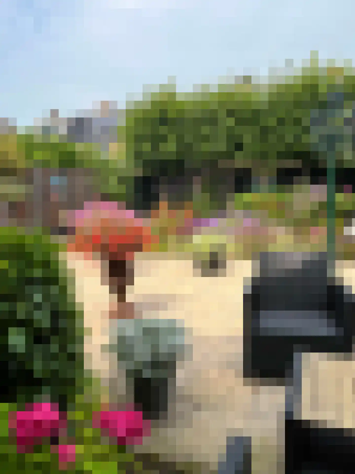 van Goghstraat 17 Heerhugowaard thumbnail 30