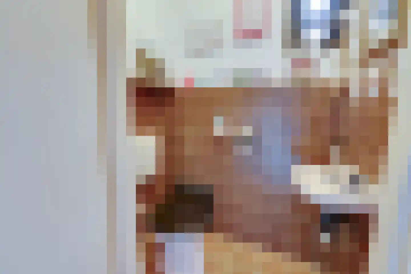 van Goghstraat 17 Heerhugowaard thumbnail 35