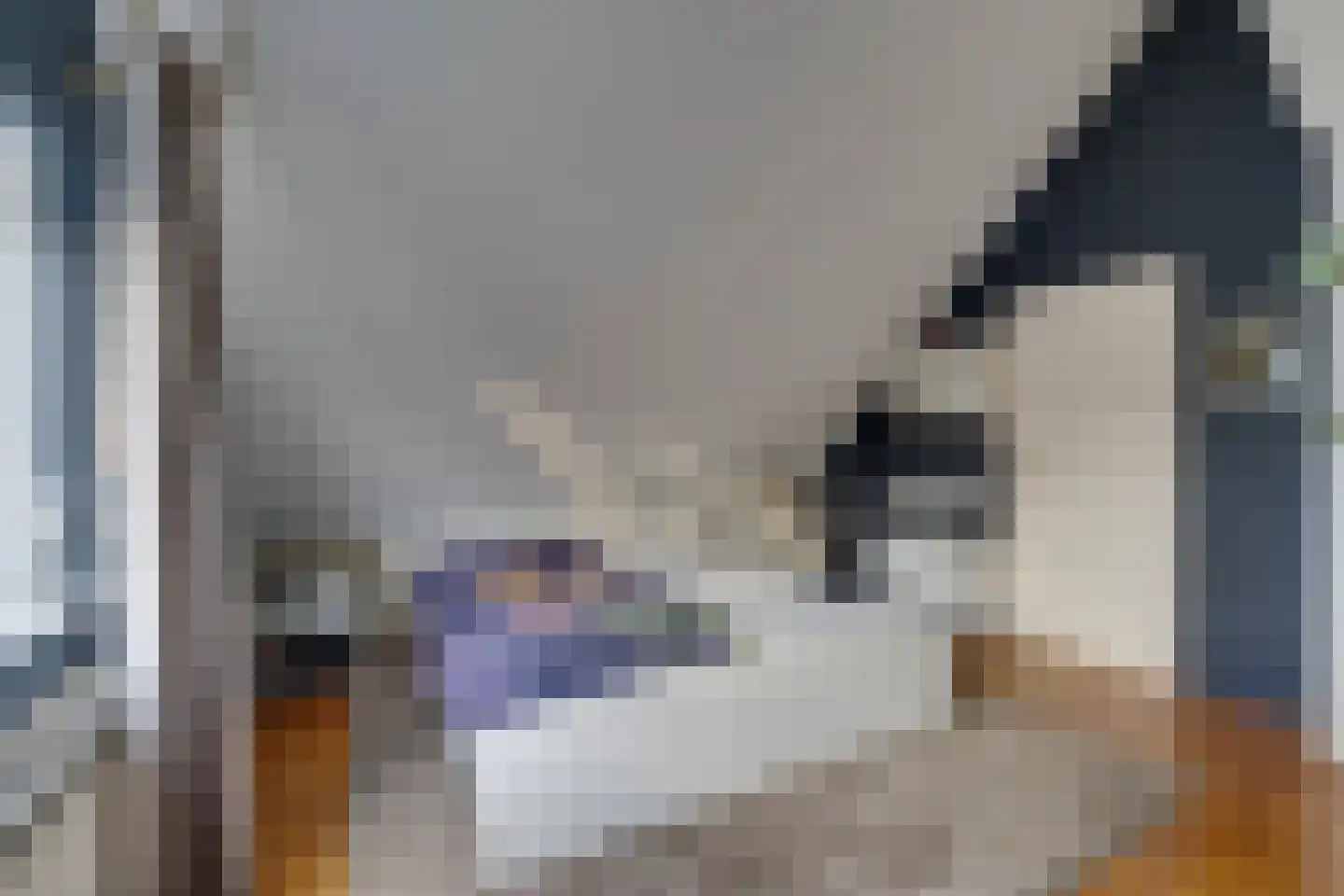 van Goghstraat 17 Heerhugowaard thumbnail 38