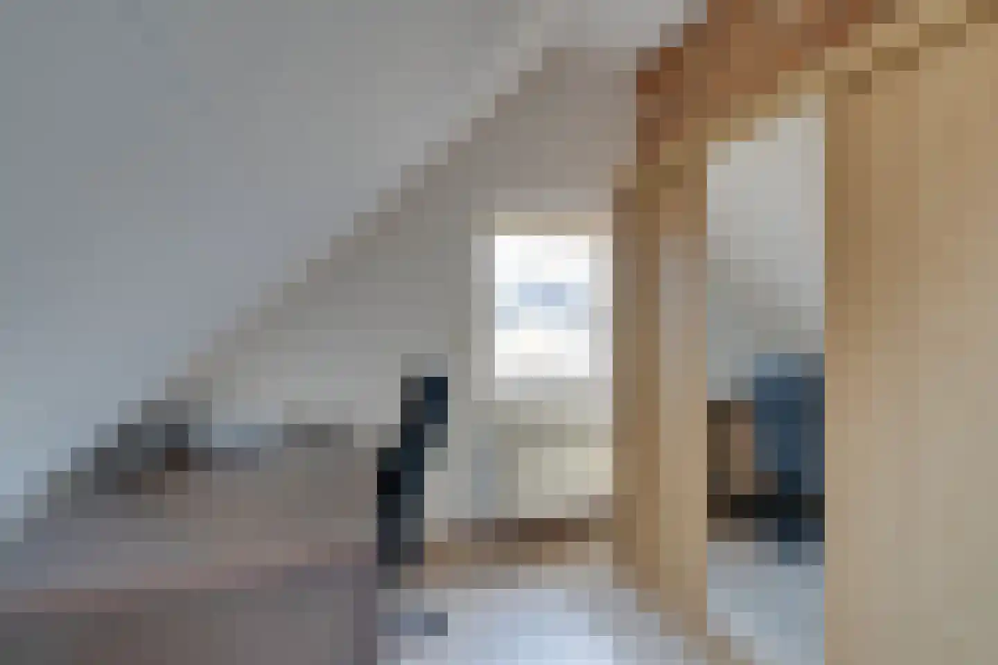 van Goghstraat 17 Heerhugowaard thumbnail 41