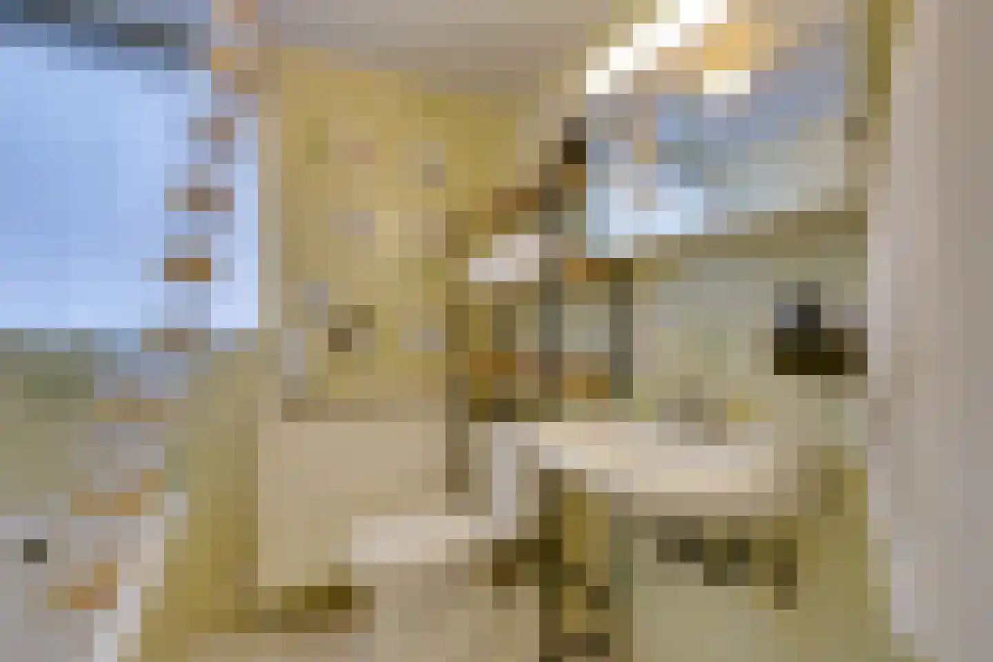van Goghstraat 17 Heerhugowaard thumbnail 46