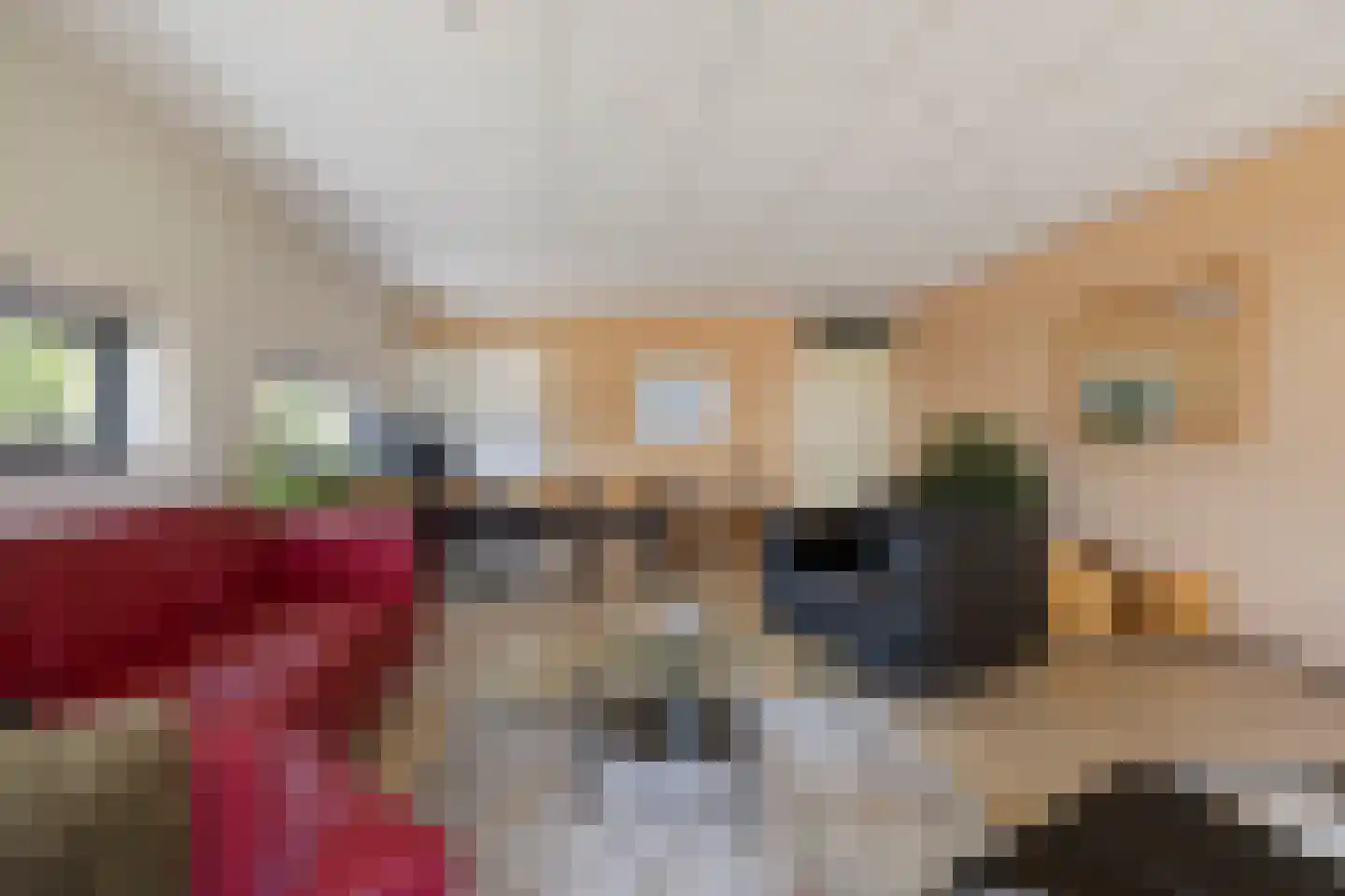 Van Goghstraat 18 Groningen thumbnail 4